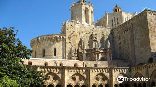 Catedral Basilica Metropolitana Primada de Tarragona
