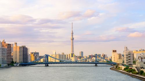 Tokyo City Day Tour [Optional Group/Charter Tour, Same Route as Kakala Tour] Day Tours