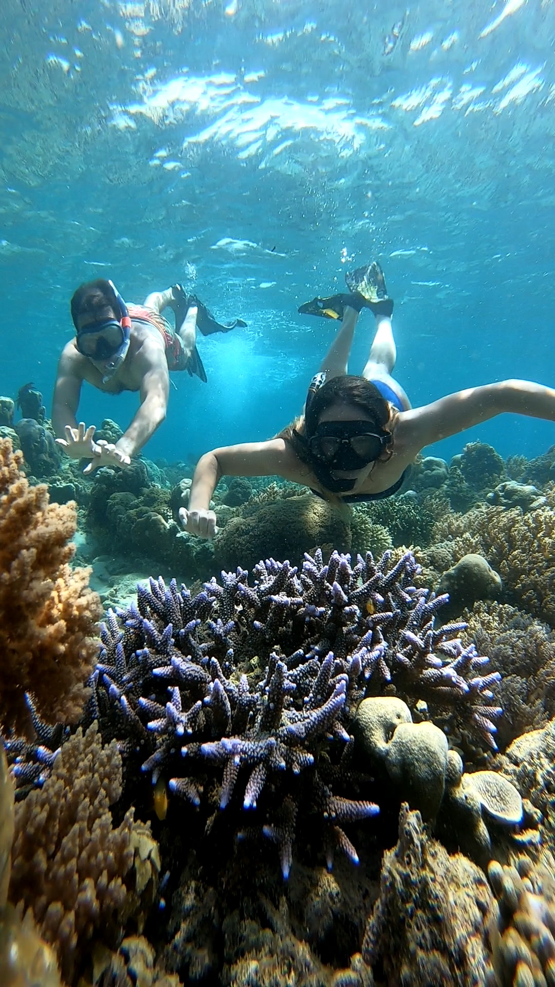 Secrate Island Private Snorkling Tour in lombok with go pro