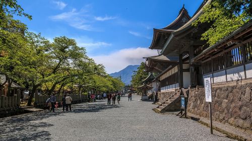 Private guided tour: Mt. Aso volcano, grasslands, Aso Shrine Day Tours
