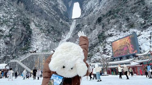 1-on-1 live guided tour in Zhangjiajie – Certified guide – Full Accompanying Service