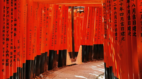 1-day tour to Nara Park deer + Fushimi Inari Taisha + Kyoto ancient temples in Kansai, Japan