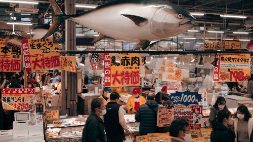 1-day tour to Kishi Station Cat Master + Seafood Market + Senjojiki Rock Plateau + Sandanbeki Cliffs in Wakayama, Japan
