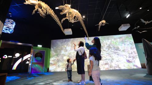 Botanical Garden of National Museum of Nature Science