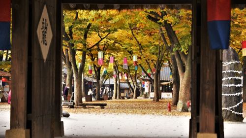 (10 hrs) Private charter for Chuncheon route in South Korea – Chuncheon