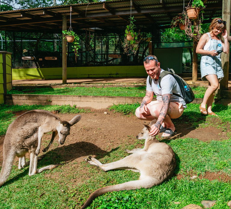 Cairns: Best of the Kuranda Rainforest Full-Day Tour & Lunch