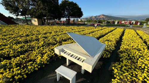 Taichung Zhongshe Flower Market + Miyahara Ophthalmology + Gaomei Wetlands one-day tour