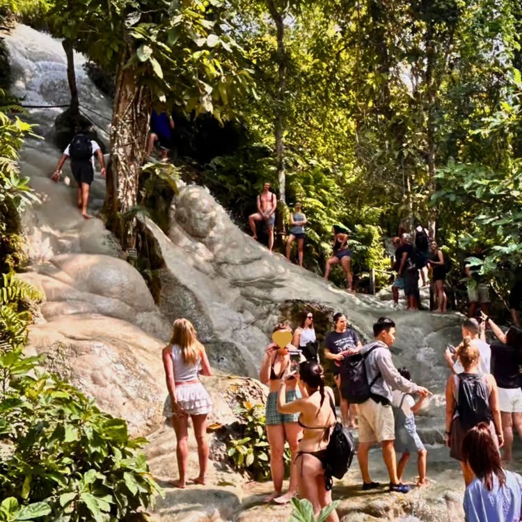 Half Day Trip to Sticky Waterfall (Buatong Waterfall)