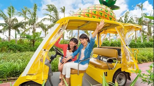 Naha: North Okinawa Sightseeing Tour & Churaumi Aquarium Day Tours