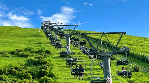 Private chartered tour in Tokyo and Izu to Mt. Omuro + Jogasaki Coast + Cactus Park. Customizable itinerary