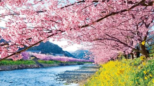 Izu Day Tour from Tokyo: Mount Omuro Ropeway & Shaboten Zoo with Ocean-View Train