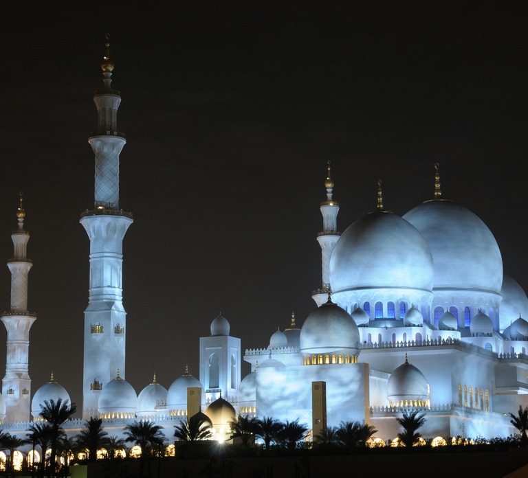 Abu Dhabi: Layover Night Tour with Airport Pickup & Drop-Off