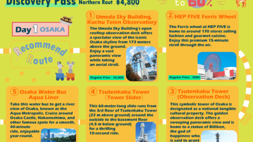 Osaka-Nara: 2-Day Discovery Pass Day Tours