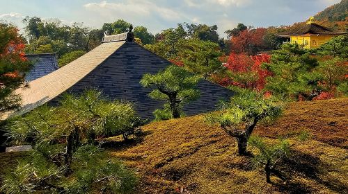 Hidden Kyoto E-Biking tour Day Tours