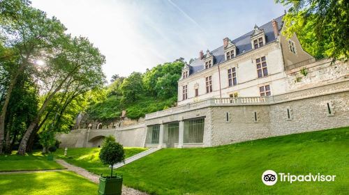 Chateau Gaillard