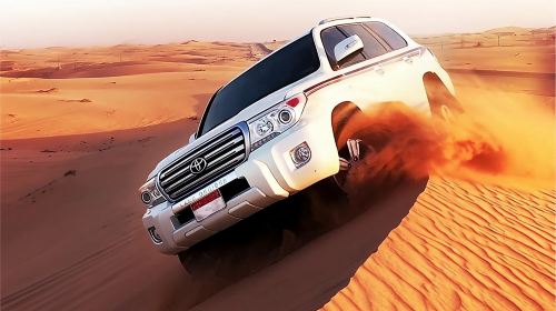 Red Dunes Desert Safari with BBQ Dinner, Camel Riding & Live Show Day Tours