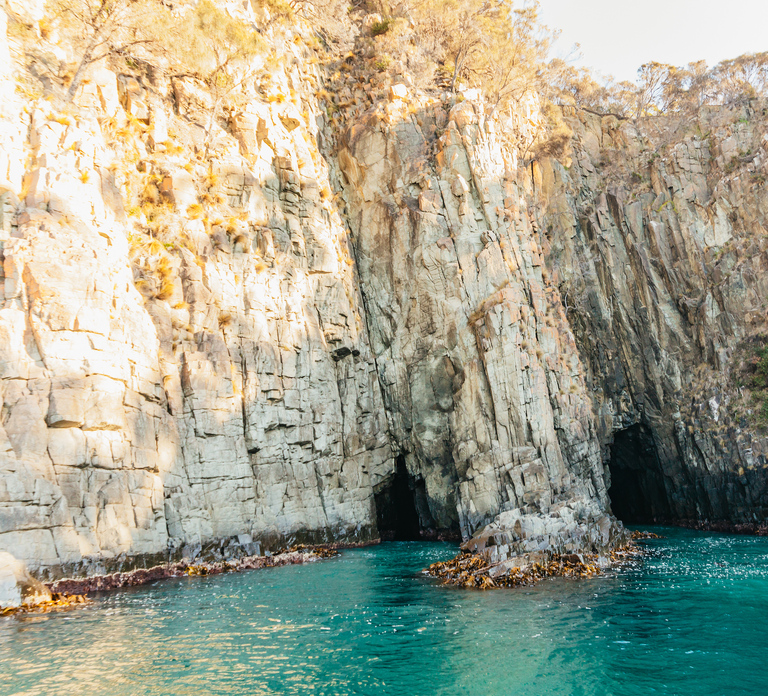 From Hobart/Adventure Bay: Bruny Island Wilderness Cruise