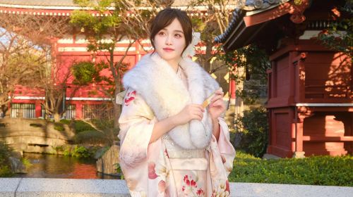 Tokyo Sensō-ji kimono experience with lace/furisode/houmongi/yukata rental, Japanese-style makeup, complete hairstyle accessories - premium kimono experience by Kanne