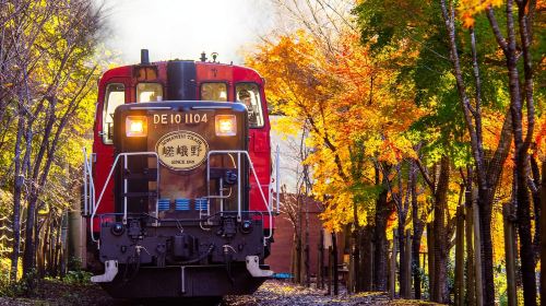 1-day in-depth tour to Arashiyama in Kyoto – Boarding and drop-off available in Kyoto/Osaka