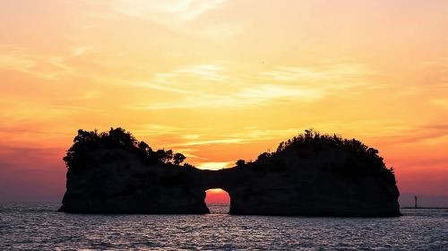 1-day tour to Nanki Shirahama + Wakayama cat station master Kishi train + Senjojiki + Sandanbeki cliffs
