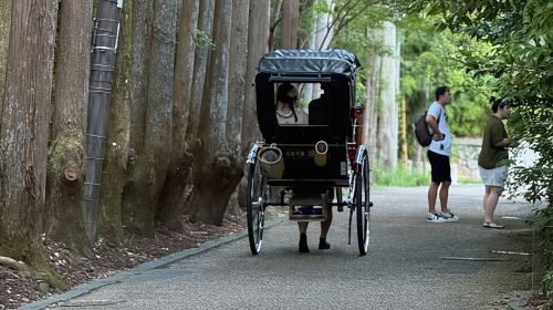 Kyoto: Stroll around the Depths of Arashiyama Day Tours