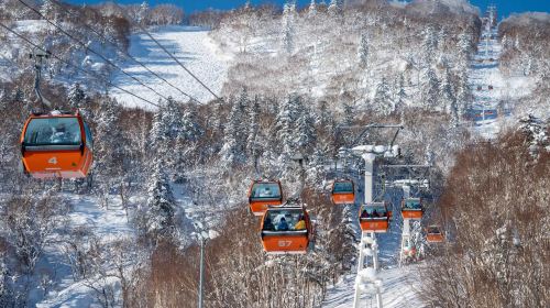 Japan New Chitose Airport Direct Bus to Niseko Ski Resort Sapporo e-ticket Transport Passes