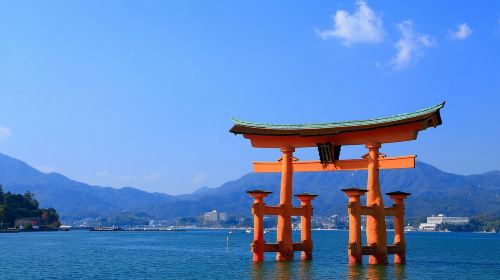 Osaka/Kyoto: Hiroshima Miyajima Bus Tour & Shinkansen Ticket Day Tours