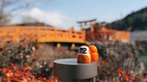 Osaka & Kyoto Must-Visit Attractions – Wishes at Katsuo-ji