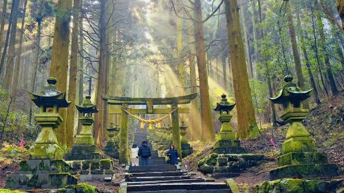 1-day tour to Kamishikimi Kumanoimasu Shrine, Takachiho Gorge, and Amanoiwato Shrine Nishi Hongu in Miyazaki, Japan
