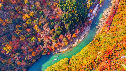 Stroll through Kyoto's Arashiyama | Ride the Arashiyama Sagano romantic train & experience the Hozugawa river boat ride canyon rafting tour Day Tours