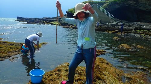 Fishing for Goby Workshop Experience at Minamiboso City Tourist Information Center