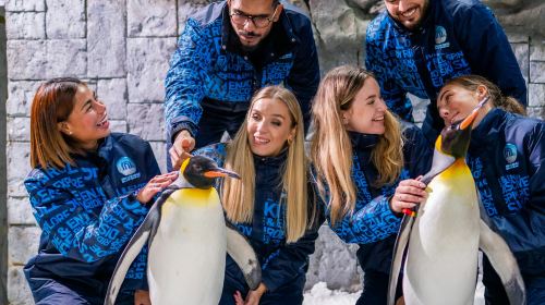 Ski Dubai