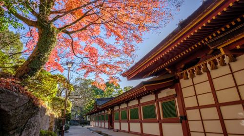 ID: 34601905 Oita 1-day tour to Dazaifu-tenmangu Shrine + Yufuin Area + Kamado Jigoku