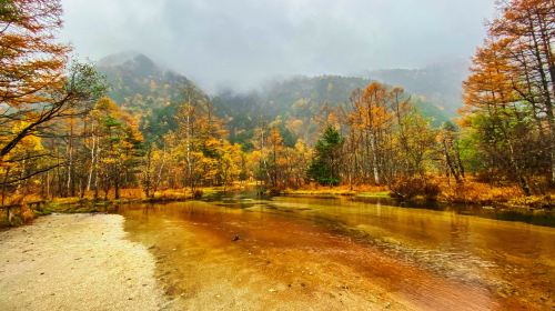 Nagoya Strolling Kamikochi one-day tour