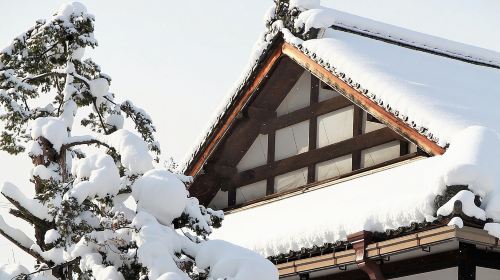 Private Tour Kanazawa, Shirakawago, Hida Furukawa,Takayama Day Tours