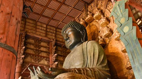 Kyoto Nara Uji 1-day Tour – Fushimi Inari Taisha & Nara Park & Byodoin Temple in Uji
