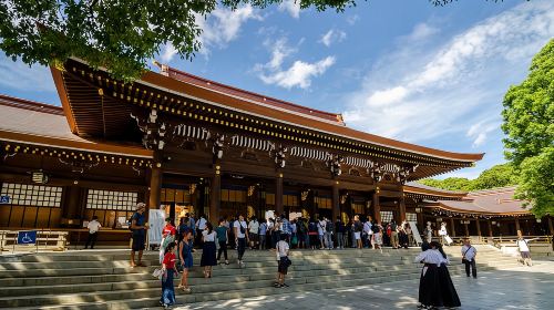 Tokyo Private Tour by Vehicle with English-Speaking Chauffeur Day Tours