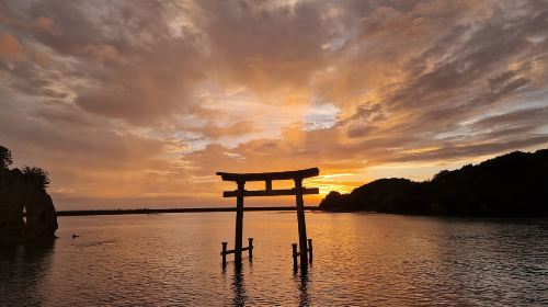 1-day tour to Kishi Station Cat Master + Seafood Market + Senjojiki Rock Plateau + Sandanbeki Cliffs in Wakayama, Japan