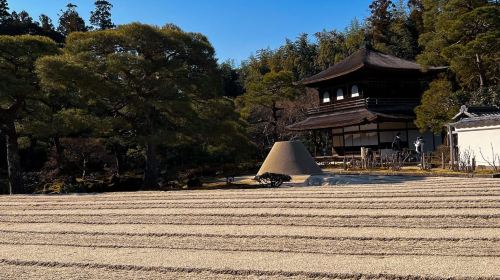 Kyoto's World of Zen Buddhism Feat. Highlights of Ginkakuji Day Tours