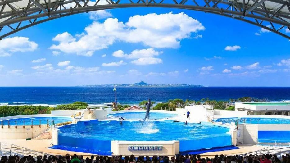 Classic Day Tour in Northern Okinawa
