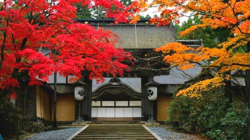 1-day tour from Osaka to world heritage Koyasan – Danjo Garan