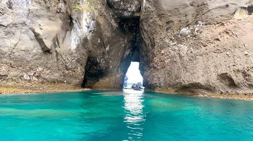 Hokkaido Summer Classic 1-day Tour: Cape Kamui + Otaru + Shiroi Koibito Park + Blue Cave Day Tours
