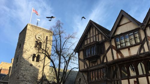 Fun, Flexible Treasure Hunt Around Oxford with Cryptic Clues & Hidden Gems