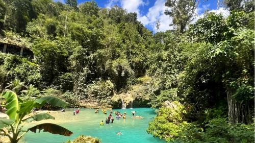 Cebu departure: Oslob Whale Shark Watching + Badian Kawasan Falls canyon adventure 1-day tour