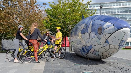 Belfast Bike Tours
