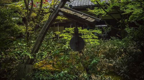 Hidden Kyoto E-Biking tour Day Tours