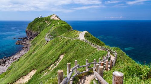 [Departure Guaranteed] Cape Kamui+Shimamui+Otaru Day Tour from Sapporo Day Tours