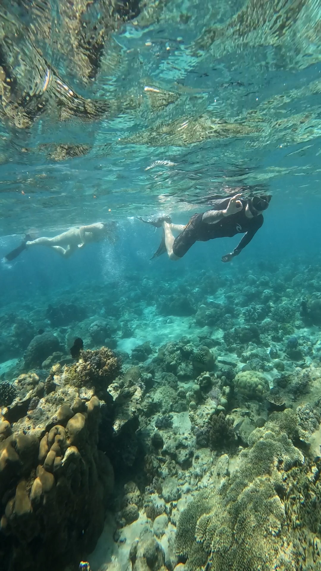 Secrate Island Private Snorkling Tour in lombok with go pro