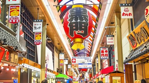 From Osaka Port: Private 10-Hour Osaka City Tour (with Customizable Itinerary)