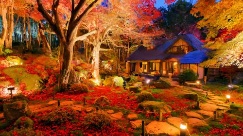 Japan Mount Hiei Enryaku-ji Temple + Omihachiman + Kyorinbo Temple Autumn Leaves Illumination 1-day tour Day Tours
